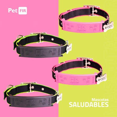 Collar Pet