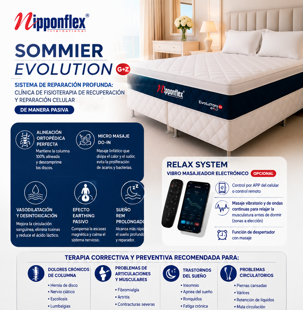 Sommier Evolution G+Z NipponFlex